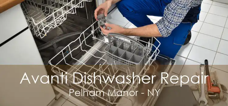 Avanti Dishwasher Repair Pelham Manor - NY