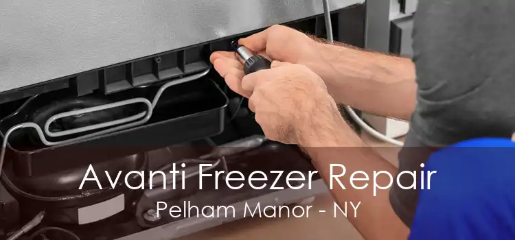 Avanti Freezer Repair Pelham Manor - NY