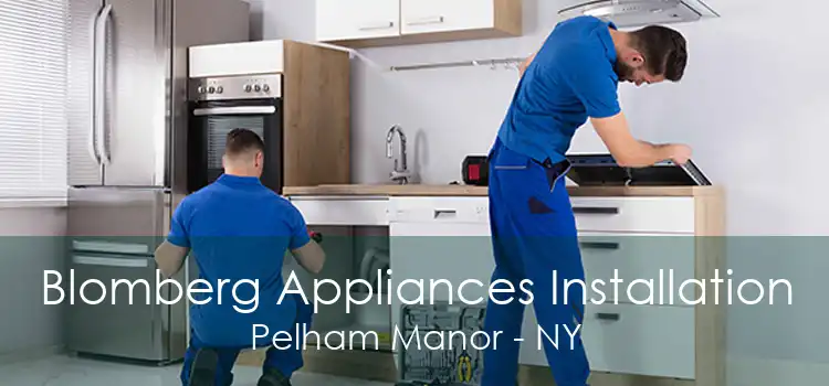 Blomberg Appliances Installation Pelham Manor - NY