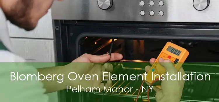 Blomberg Oven Element Installation Pelham Manor - NY