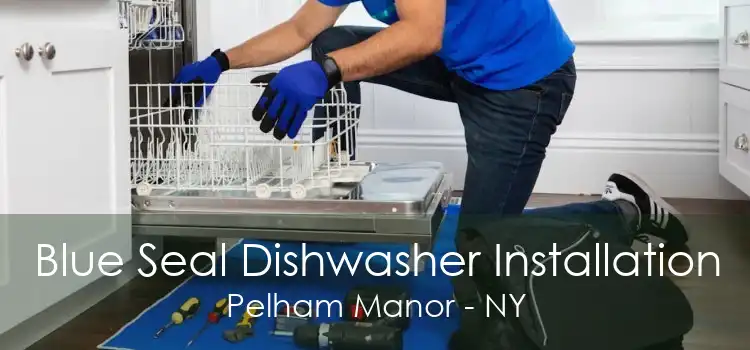 Blue Seal Dishwasher Installation Pelham Manor - NY