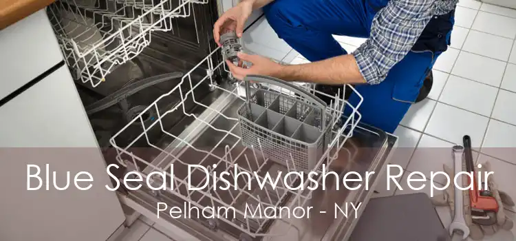 Blue Seal Dishwasher Repair Pelham Manor - NY