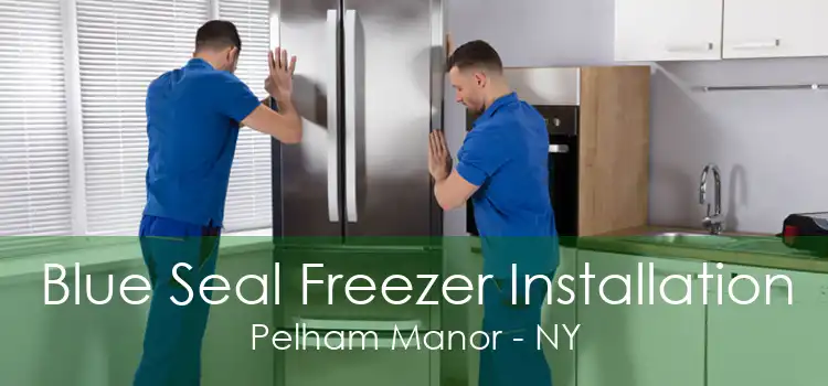 Blue Seal Freezer Installation Pelham Manor - NY