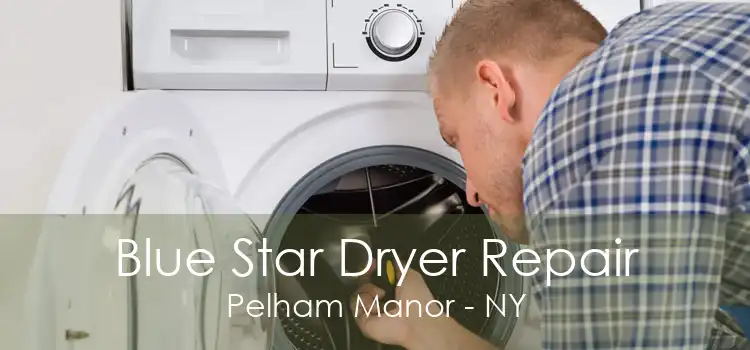 Blue Star Dryer Repair Pelham Manor - NY