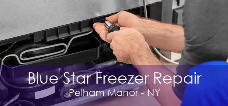 Blue Star Freezer Repair Pelham Manor - NY