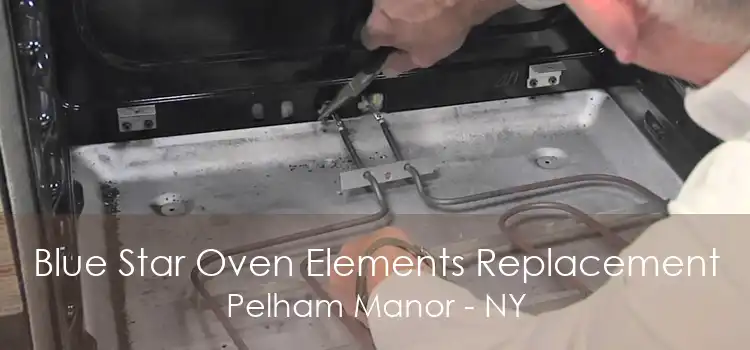 Blue Star Oven Elements Replacement Pelham Manor - NY