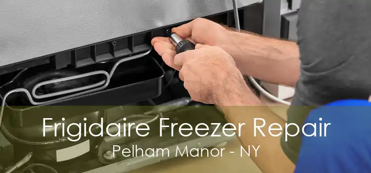 Frigidaire Freezer Repair Pelham Manor - NY