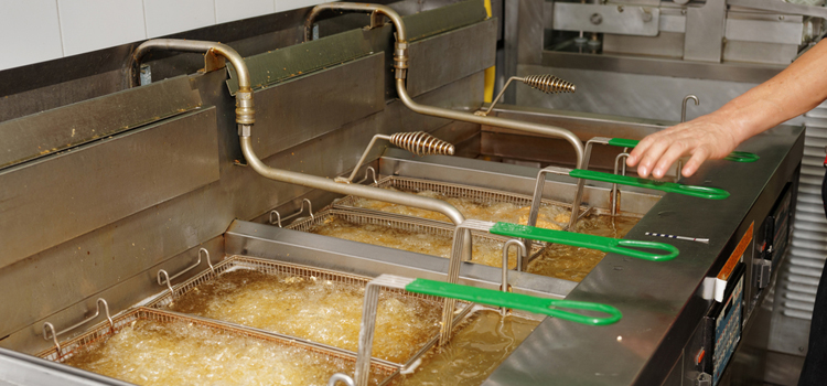 Commercial Fryer Repair in Pelham Manor, NY