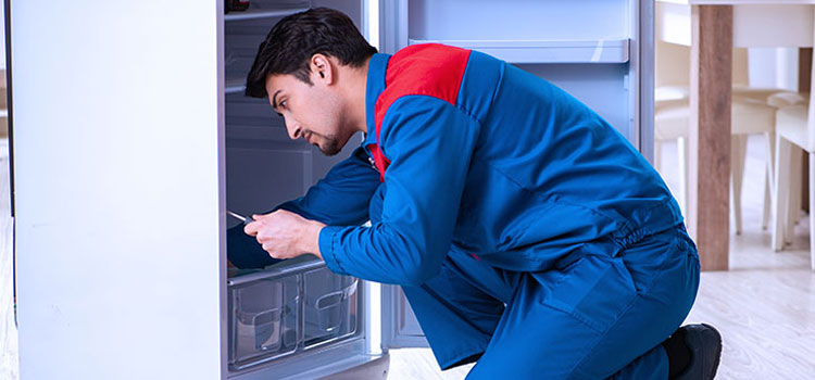 Frigidaire Freezer Repair Services in Pelham Manor, New York