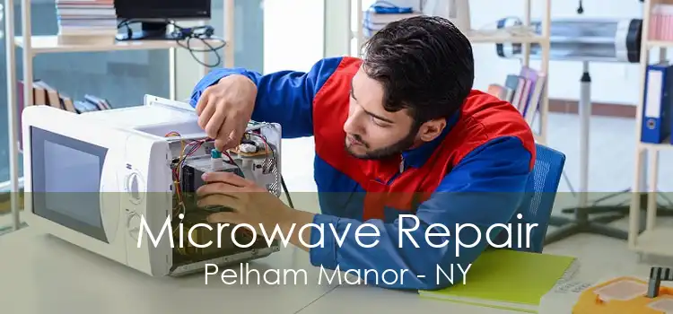 Microwave Repair Pelham Manor - NY