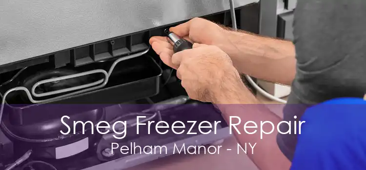 Smeg Freezer Repair Pelham Manor - NY